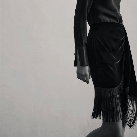 Zara velvet fringe skirt - Picture 3 of 7